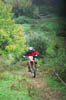 02.253.2 SCARPELLI NATALINO82070009