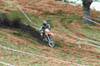 02.252.4 DE CILLIS WILLIAM80120014
