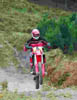 Aversente Angelo