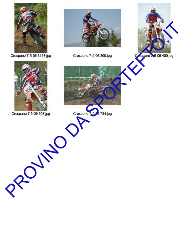 BERNARDOTTO-LUCA-2