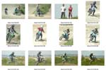 Dinami 16-4-07-20