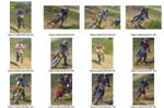 Provino a contatto-36