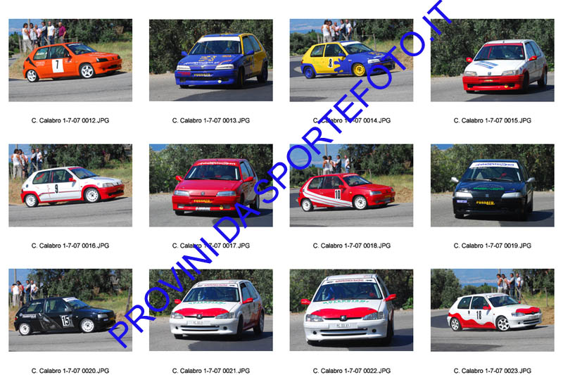 C. calabro-002