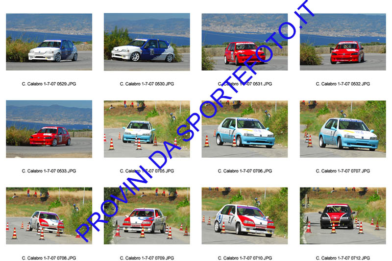 C. calabro-016