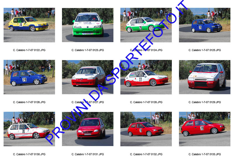 C. calabro-031