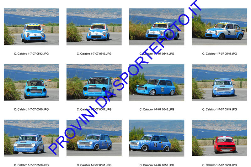 C. calabro-044