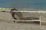 Incidenti 2008 -117